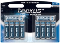 tecxus LR6/AA (Mignon) batteri, 10 st. blister alkaliskt manganbatteri, 1,5 V