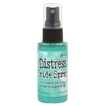 Ranger / Tim Holtz Distress Oxide Spray - Salvaged Patina