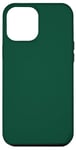 Coque pour iPhone 15 Plus Vert chasseur