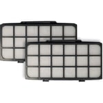 Lot de 2x filtres post-moteur remplacement pour Rowenta RS-RT4310 pour aspirateur - Filtre epa - Vhbw