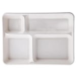 SignorBio 40 Pieces Biodegradable Tray - 4 Compartments - 37 x 27 x 3.5 cm - Sugar Cane - White - Pack of 40