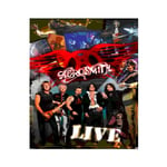 1001kdo - aerosmith Poster pvc effet 3D Live