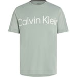 Calvin Klein Sport Pique Gym T-shirt Ljusgrön Medium Herr