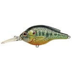 LIVE TARGET Koppers Sided Medium Diving Crank Flat Lure, 2-3/4-Inch, Metallic