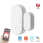 Tuya Zigbee-Capteur magnétique de porte et fenêtre,capteurs de porte sans fil,maison intelligente,poignées de tournesol,protection de sécurité pour Alexa Google - Type 1pcs