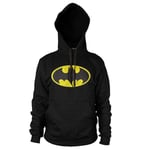 Batman Distressed Logo Hoodie, Hoodie