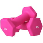 SPORTNOW Lot de 2 haltères hexagonaux 2x1 kg en métal et plastique, 2 haltères avec poignée antidérapante, 13x5x5 cm, rose