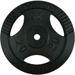 Scsports - Le disque pèse 20 kg de poids de plaque en fonte pour les disques de gymnase pour les haltères