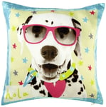 Hall of Fame Dog Filled Cushion, Polyester Kids Bedroom playroom 45 x 45 x 0.02