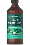 Liquid Chlorophyll Drops for Water 100Mg | 473Ml | Vegan Supplement | Mint Flavo