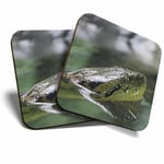 2 x Coasters - Green Anaconda Snake Home Gift #21648