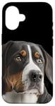 iPhone 16 My big love is a big Swiss Mountain Dog Case