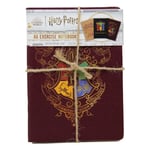 Blue Sky Harry Potter A6 Notebooks 3pk - Colourful Crest