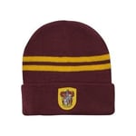 Harry Potter Beanie Rohkelikko