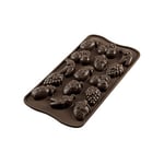 silikomart 22.132.77.0065 Moule en Silicone, Thème Fruits pour Chocolat, Marron, 2 x 10,5 x 21,5 cm