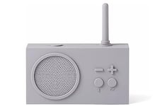 DE-333 Mini Radio Portable - Poste Radio Transistor avec Bouton FM, Pile  Remplaçable