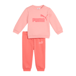 MINICATS Essential Crew Set FL INF, joggedress, barn