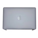 Ecran complet Macbook pro 15 A1707 2016/2017 Gris Sideral