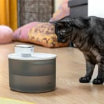 Laddningsbar Kattfontän med Sensor Refopet InnovaGoods