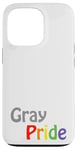 Coque pour iPhone 13 Pro Gris Pride coloré