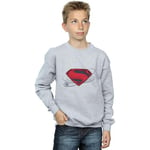 Sweat-shirt enfant Dc Comics  Justice League