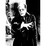 Wee Blue Coo Movie Film Still Phantom Opera Lon Chaney Silent Horror USA Art Print Poster Wall Decor 12X16 Inch