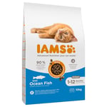 15 % rabatt! 10 kg IAMS torrfoder katt - Kitten Ocean med fisk (10 kg)