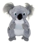 Pehmolelu - koala, 25 cm