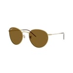 Ray-Ban Round Reverse - RBR0103S 001/83 5521