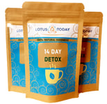 Lotustoday Tea DETOX  Gentle Cleanse may aid Weight Loss Diet Slimming Tea bags