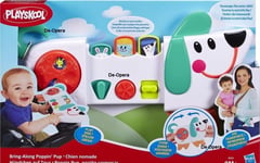 Pre-School Toy Puppy On Tour BaBy Game Learning Fun PlaySkool