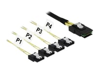 Delock Mini Sas Sff-8087 > 4 X Sata 7 Pin - Sata/Sas-Kabel - Sas 6Gbit/S - 4-Spors - Mini Sas (Sff-8087) (Hann) Til Esata (Hunn) - 50 Cm