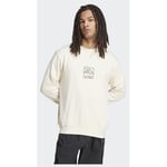 adidas Terrex Graphic Crew Sweatshirt, storlek Large