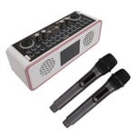 Karaoke Sound Card Kit Type C Charging BT Speaker Wireless Microphone Kit Wi Kit