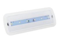 Barcelona LED, lumière d'urgence LED encastrable ou surface 3 W 250 lm 6 500 K blanc froid avec batterie 3 heures d'autonomie pack de 2 unités