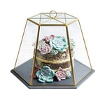 Artesà Geometric Glass Cake Dome, Cheese Dome with Lid, Slate Serving Board, 31 x 27.5 x 25cm, Brass Effect