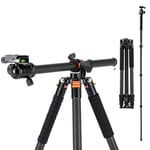 Fotopro Horizontal Camera Tripod 75 Inch Carbon Fiber 360 Degree Ball Head Quick Release Plate DSLR Tripod for Travel Camera Video Camcorder