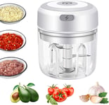 Electric Mini Garlic Chopper,Portable Mini Mincer Electric Food Processor, 250ml