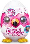 Pets Alive - Chirpy Birds - One Supplied - Brand New