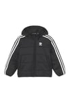 ADIDAS HK7451 PADDED JACKET Jacket Unisex black Size 3-6M