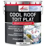 Cool Roof : Peinture toit plat réfléchissante ARCAREFLECT AQUASTOP - Spéciale stagnation d'eau  4 kg - Blanc