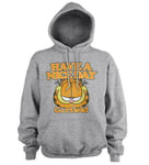 Garfield - Have A Nice Day Hoodie, Hoodie