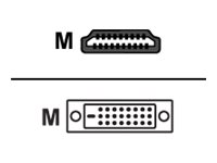 Sharkoon - Adapterkabel - Dubbel Länk - Hdmi Hane Till Dvi-D Hane - 1 M - Svart