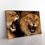 Snarling Lions No.1 Modern Canvas Wall Art Print Ready to Hang, Framed Picture for Living Room Bedroom Home Office Décor, 60x40 cm (24x16 Inch)