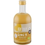 BioToday - Premium Ginger Drink, Freshly Squeezed Ginger Juice, Use for Cocktails, Marinades or Sauces, Immunity Booster, Rich in Vitamin C, No Artificial Fragrances, Colours or Flavours, Vegan 500g