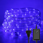 Sonnewelt LED Tube Iumineux Exterieur30M 720LED, 8 Modes Guirlande Lumineuse Extérieur, LED Tuyau Bande IP44, Guirlande LED pour Décorations Intérieures et Noël, Anniversaire, Mariage-bleu