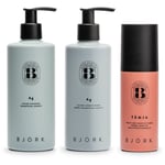 Björk AG Bundle Silver Shampoo 300 ml & Conditioner 250 ml & Leave-in