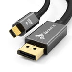 Reagle mini DisplayPort Ultra DP 2.0 8K 4K 240Hz 1.5M kaapeli