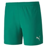 PUMA Women's teamGOAL 23 Knit Shorts W, Pepper Green, X-Large