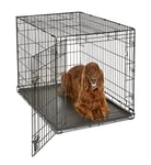 New World B42 Cage pour chiens de petite taille, ment améliorée, 106,68 cm, à une porte, comprenant un plateau étanche, des pieds protégeant le sol et de s caractéristiques brevetées